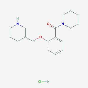 Piperidin-1-yl(2-(piperidin-3-ylmethoxy)phenyl)methanone hydrochloride