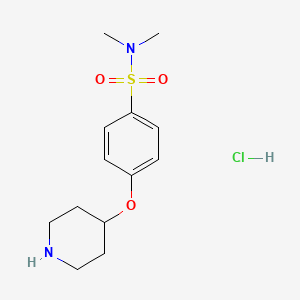 N,N-dimethyl-4-(piperidin-4-yloxy)benzenesulfonamide hydrochloride