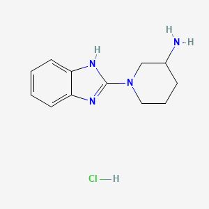1-(1H-Benzoimidazol-2-yl)-piperidin-3-ylamine hydrochloride