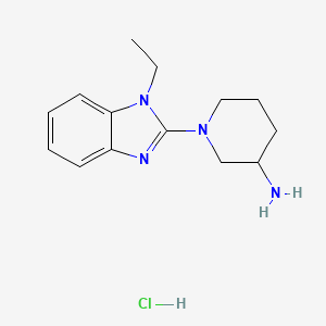 1-(1-Ethyl-1H-benzoimidazol-2-yl)-piperidin-3-ylamine hydrochloride