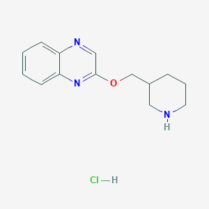 molecular formula C14H18ClN3O B1500841 2-(Piperidin-3-ylmethoxy)quinoxaline hydrochloride CAS No. 1185313-33-0