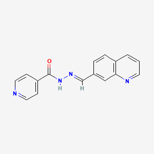 molecular formula C16H12N4O B15008483 N'-[(E)-quinolin-7-ylmethylidene]pyridine-4-carbohydrazide 