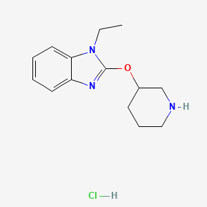 molecular formula C14H20ClN3O B1500850 1-Ethyl-2-(piperidin-3-yloxy)-1H-benzoimidazole hydrochloride CAS No. 1185310-89-7