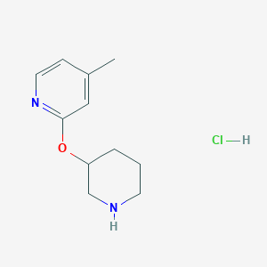 molecular formula C11H17ClN2O B1500851 4-甲基-2-(哌啶-3-氧基)-吡啶盐酸盐 CAS No. 1185310-94-4