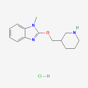 molecular formula C14H20ClN3O B1500862 1-Methyl-2-(piperidin-3-ylmethoxy)-1H-benzoimidazole hydrochloride CAS No. 1185311-12-9