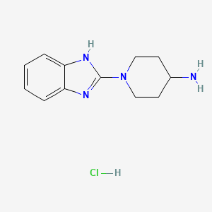 molecular formula C12H17ClN4 B1500918 1-(1H-Benzoimidazol-2-yl)-piperidin-4-ylamine hydrochloride CAS No. 1185319-13-4