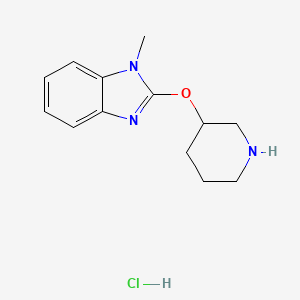 molecular formula C13H18ClN3O B1500920 1-Methyl-2-(piperidin-3-yloxy)-1H-benzoimidazole hydrochloride CAS No. 1185313-72-7