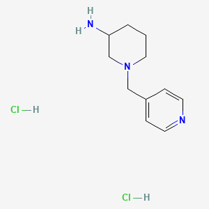 molecular formula C11H19Cl2N3 B1500932 1-Pyridin-4-ylmethyl-piperidin-3-ylamine dihydrochloride CAS No. 1185318-67-5