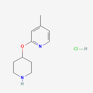 molecular formula C11H17ClN2O B1500949 4-Methyl-2-(piperidin-4-yloxy)pyridine hydrochloride 