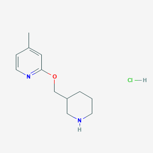 molecular formula C12H19ClN2O B1500951 4-甲基-2-(哌啶-3-基甲氧基)-吡啶盐酸盐 CAS No. 1185310-76-2