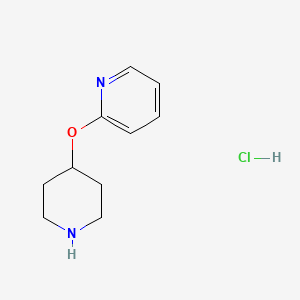 molecular formula C10H15ClN2O B1500952 Chlorhydrate de 2-(pipéridin-4-yloxy)pyridine CAS No. 1185308-16-0