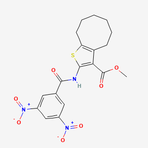 molecular formula C19H19N3O7S B15009703 Methyl 2-{[(3,5-dinitrophenyl)carbonyl]amino}-4,5,6,7,8,9-hexahydrocycloocta[b]thiophene-3-carboxylate 