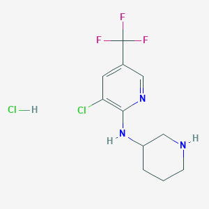 molecular formula C11H14Cl2F3N3 B1501063 (3-Chloro-5-trifluoromethyl-pyridin-2-yl)-piperidin-3-yl-amine hydrochloride CAS No. 1185319-67-8