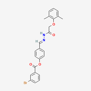 molecular formula C24H21BrN2O4 B15012525 4-[(E)-{2-[(2,6-dimethylphenoxy)acetyl]hydrazinylidene}methyl]phenyl 3-bromobenzoate 