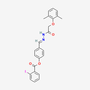 molecular formula C24H21IN2O4 B15013170 4-[(E)-{2-[(2,6-dimethylphenoxy)acetyl]hydrazinylidene}methyl]phenyl 2-iodobenzoate 