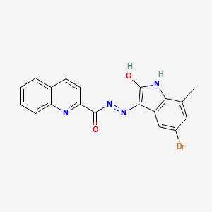 molecular formula C19H13BrN4O2 B15016068 N'-[(3Z)-5-bromo-7-methyl-2-oxo-1,2-dihydro-3H-indol-3-ylidene]quinoline-2-carbohydrazide 