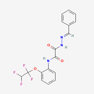 molecular formula C17H13F4N3O3 B15016150 2-[(2E)-2-benzylidenehydrazinyl]-2-oxo-N-[2-(1,1,2,2-tetrafluoroethoxy)phenyl]acetamide 