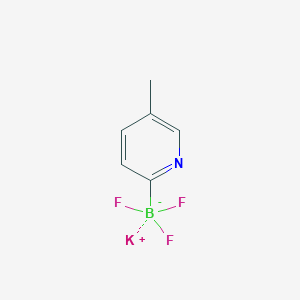 molecular formula C6H6BF3KN B1501697 Potassium 5-methylpyridine-2-trifluoroborate CAS No. 1073468-31-1