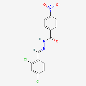 molecular formula C14H9Cl2N3O3 B15017293 N'-(2,4-dichlorobenzylidene)-4-nitrobenzohydrazide 