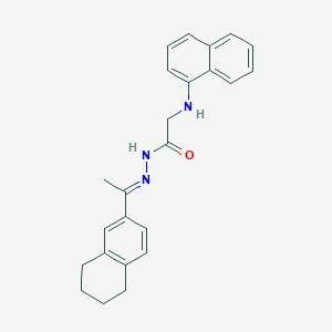 molecular formula C24H25N3O B15017990 2-[(Naphthalen-1-YL)amino]-N'-[(1E)-1-(5,6,7,8-tetrahydronaphthalen-2-YL)ethylidene]acetohydrazide 