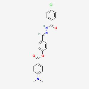 4-[(E)-{2-[(4-chlorophenyl)carbonyl]hydrazinylidene}methyl]phenyl 4-(dimethylamino)benzoate