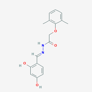 molecular formula C17H18N2O4 B15019567 N'-[(E)-(2,4-dihydroxyphenyl)methylidene]-2-(2,6-dimethylphenoxy)acetohydrazide 