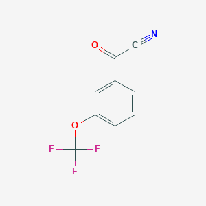 molecular formula C9H4F3NO2 B1502184 3-(Trifluoromethoxy)benzoyl cyanide CAS No. 80277-37-8