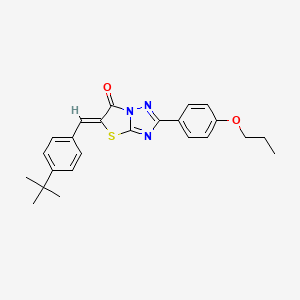 molecular formula C24H25N3O2S B15027426 (5Z)-5-(4-tert-butylbenzylidene)-2-(4-propoxyphenyl)[1,3]thiazolo[3,2-b][1,2,4]triazol-6(5H)-one 