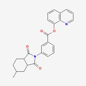 molecular formula C25H22N2O4 B15027973 quinolin-8-yl 3-(5-methyl-1,3-dioxooctahydro-2H-isoindol-2-yl)benzoate 