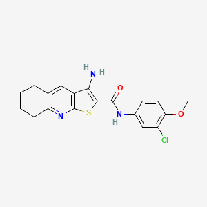 molecular formula C19H18ClN3O2S B15031436 3-amino-N-(3-chloro-4-methoxyphenyl)-5,6,7,8-tetrahydrothieno[2,3-b]quinoline-2-carboxamide 