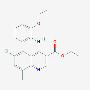 Ethyl 6-chloro-4-[(2-ethoxyphenyl)amino]-8-methylquinoline-3-carboxylate