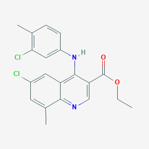 molecular formula C20H18Cl2N2O2 B15033403 Ethyl 6-chloro-4-[(3-chloro-4-methylphenyl)amino]-8-methylquinoline-3-carboxylate 