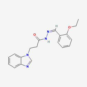 molecular formula C19H20N4O2 B15035181 3-(1H-benzimidazol-1-yl)-N'-[(Z)-(2-ethoxyphenyl)methylidene]propanehydrazide 