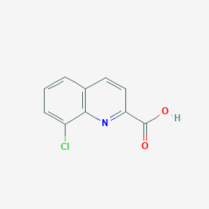 molecular formula C10H6ClNO2 B1503654 8-Chloroquinoline-2-carboxylic acid CAS No. 915922-73-5