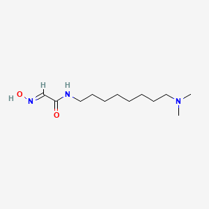 (2E)-N-[8-(dimethylamino)octyl]-2-(hydroxyimino)acetamide