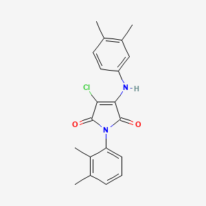 molecular formula C20H19ClN2O2 B15036995 3-chloro-1-(2,3-dimethylphenyl)-4-[(3,4-dimethylphenyl)amino]-1H-pyrrole-2,5-dione 