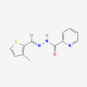 molecular formula C12H11N3OS B15039240 N'-[(E)-(3-methylthiophen-2-yl)methylidene]pyridine-2-carbohydrazide 