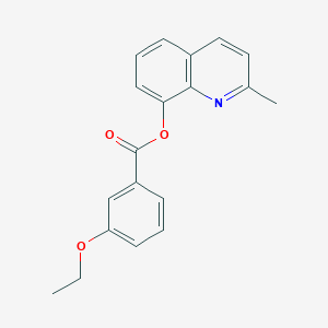 molecular formula C19H17NO3 B15039560 2-Methylquinolin-8-yl 3-ethoxybenzoate 