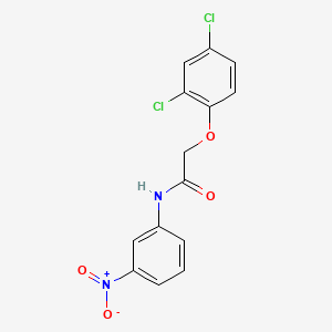 2-(2,4-dichlorophenoxy)-N-(3-nitrophenyl)acetamide