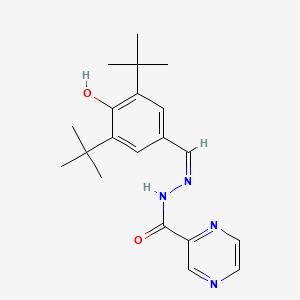 molecular formula C20H26N4O2 B15040774 N'-[(Z)-(3,5-di-tert-butyl-4-hydroxyphenyl)methylidene]pyrazine-2-carbohydrazide 