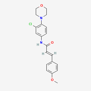 (2E)-N-[3-chloro-4-(morpholin-4-yl)phenyl]-3-(4-methoxyphenyl)prop-2-enamide