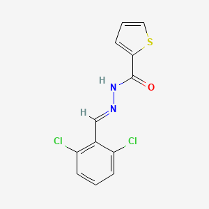 molecular formula C12H8Cl2N2OS B15041699 N'-(2,6-dichlorobenzylidene)-2-thiophenecarbohydrazide 