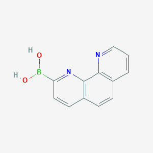 molecular formula C12H9BN2O2 B1504215 1,10-Phenanthroline-2-boronic acid CAS No. 1009112-34-8