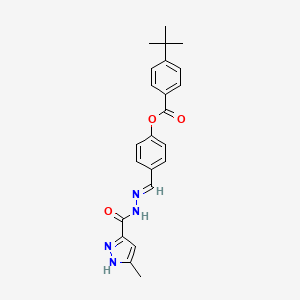 molecular formula C23H24N4O3 B15043924 4-[(E)-{2-[(3-methyl-1H-pyrazol-5-yl)carbonyl]hydrazinylidene}methyl]phenyl 4-tert-butylbenzoate 