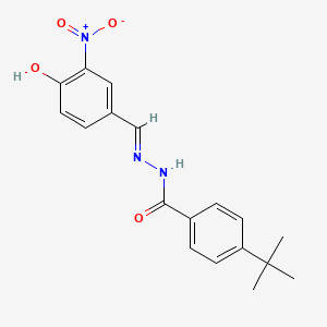 4-tert-butyl-N'-[(E)-(4-hydroxy-3-nitrophenyl)methylidene]benzohydrazide