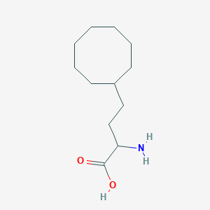 2-Amino-4-cyclooctylbutanoic acid