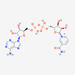 molecular formula C21H28N7O14P2+ B150497 烟酰胺腺嘌呤二核苷酸 CAS No. 65085-09-8