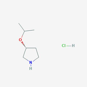 molecular formula C7H16ClNO B15051862 (R)-3-Isopropoxypyrrolidine hydrochloride 