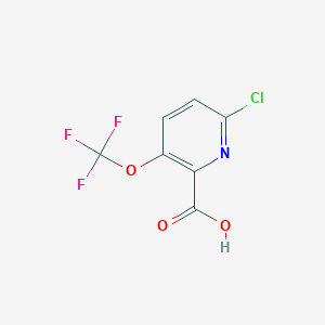 molecular formula C7H3ClF3NO3 B15052309 6-Chloro-3-(trifluoromethoxy)picolinic acid 