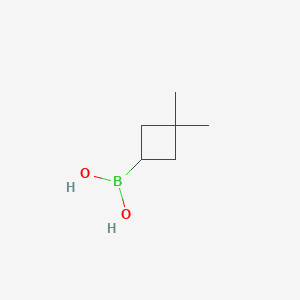 molecular formula C6H13BO2 B15052773 (3,3-Dimethylcyclobutyl)boronic acid 